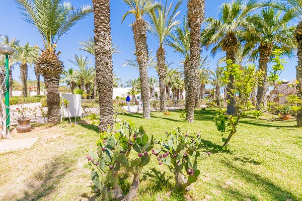 Club Oasis Marine 3* pas cher photo 10