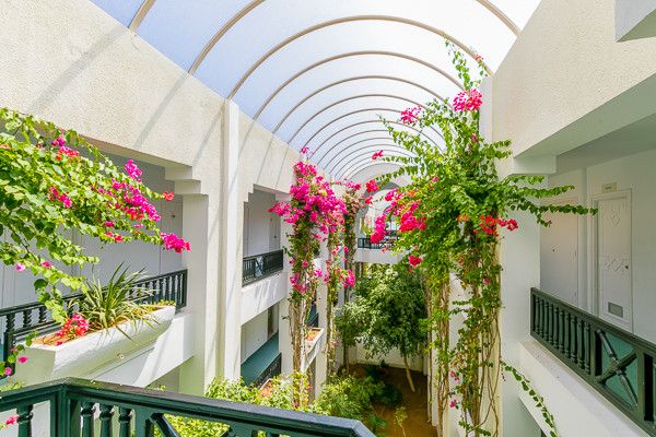 Hôtel Holiday Beach 4* pas cher photo 12