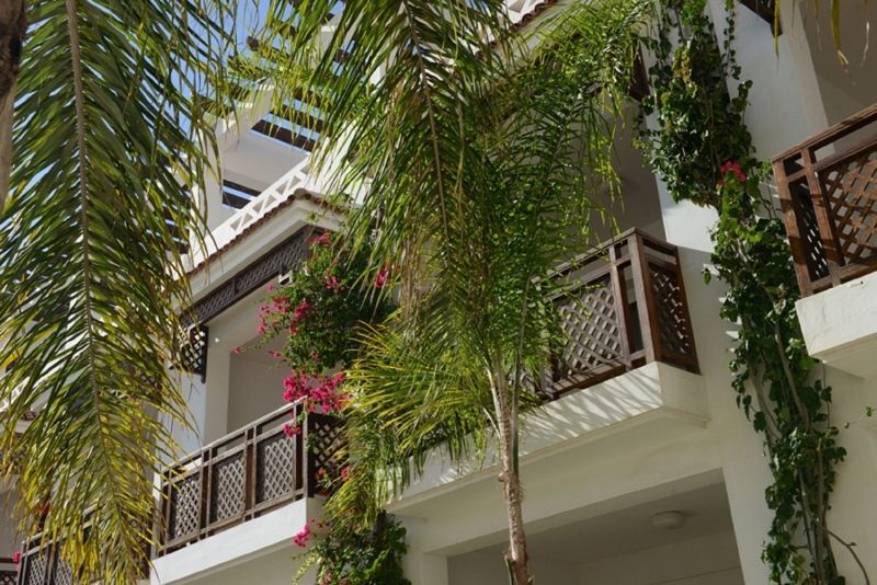 Timoulay & Spa Agadir 4* pas cher photo 5