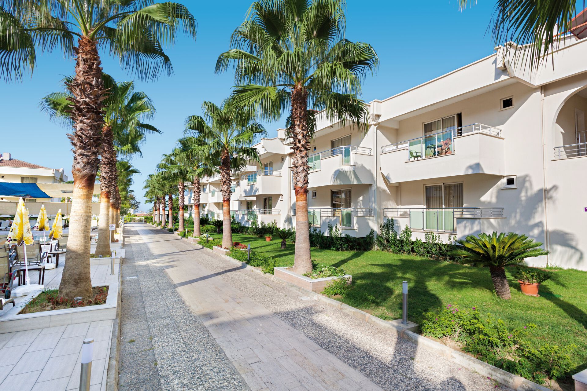 Dream World Hill - 5* pas cher photo 6