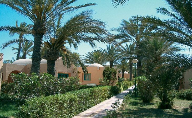 Hôtel Oasis Marine Club 3* pas cher photo 6