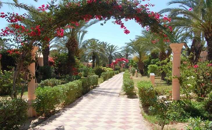 Hôtel Oasis Marine Club 3* pas cher photo 7