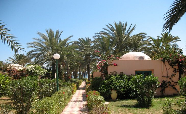 Hôtel Oasis Marine Club 3* pas cher photo 8