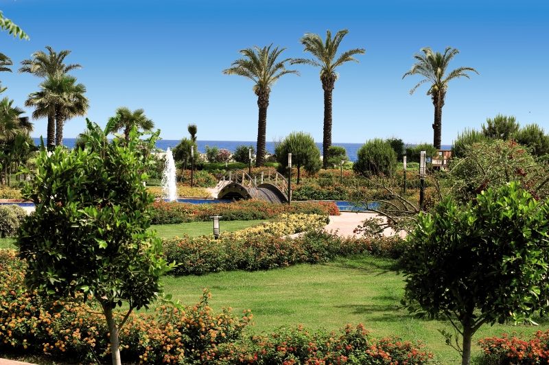 Miracle Resort - 5* pas cher photo 7