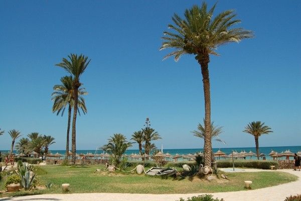 Hôtel Eden Star 4* pas cher photo 6