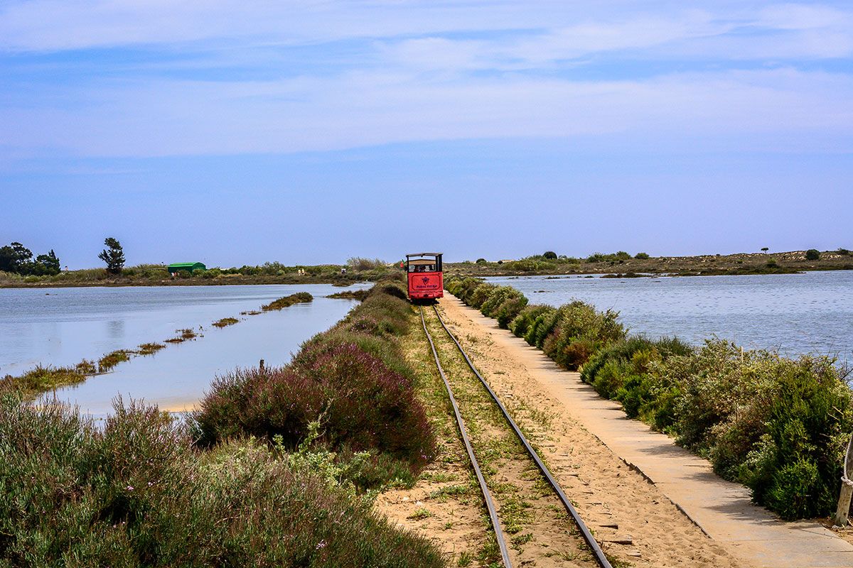 Hôtel Pedras d'el Rei Appartements - Vols Réguliers pas cher photo 4
