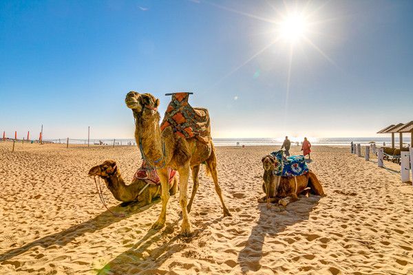 Hôtel Maxi Club Kenzi Europa 4* pas cher photo 11