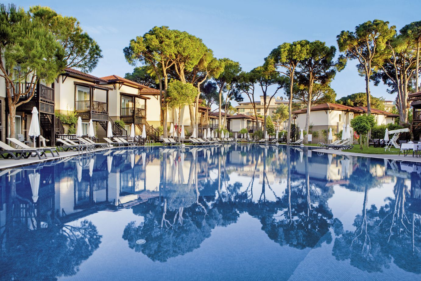 Papillon Ayscha - 5* pas cher photo 1