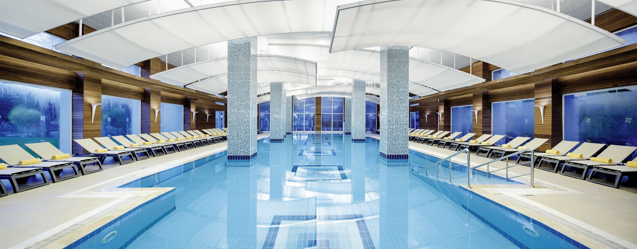 Papillon Ayscha - 5* pas cher photo 2