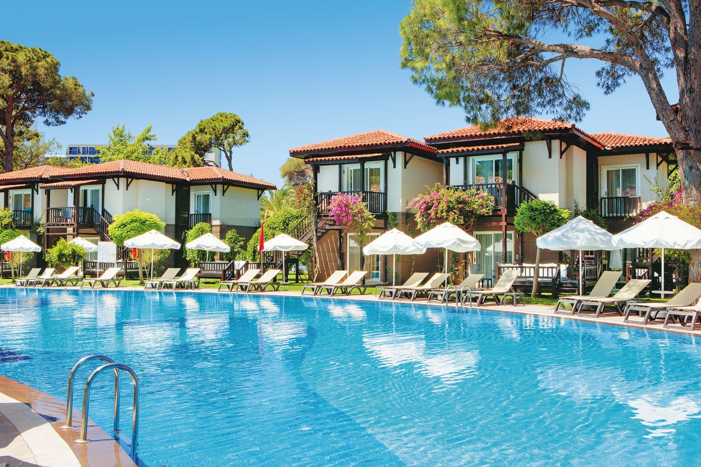 Papillon Ayscha - 5* pas cher photo 5