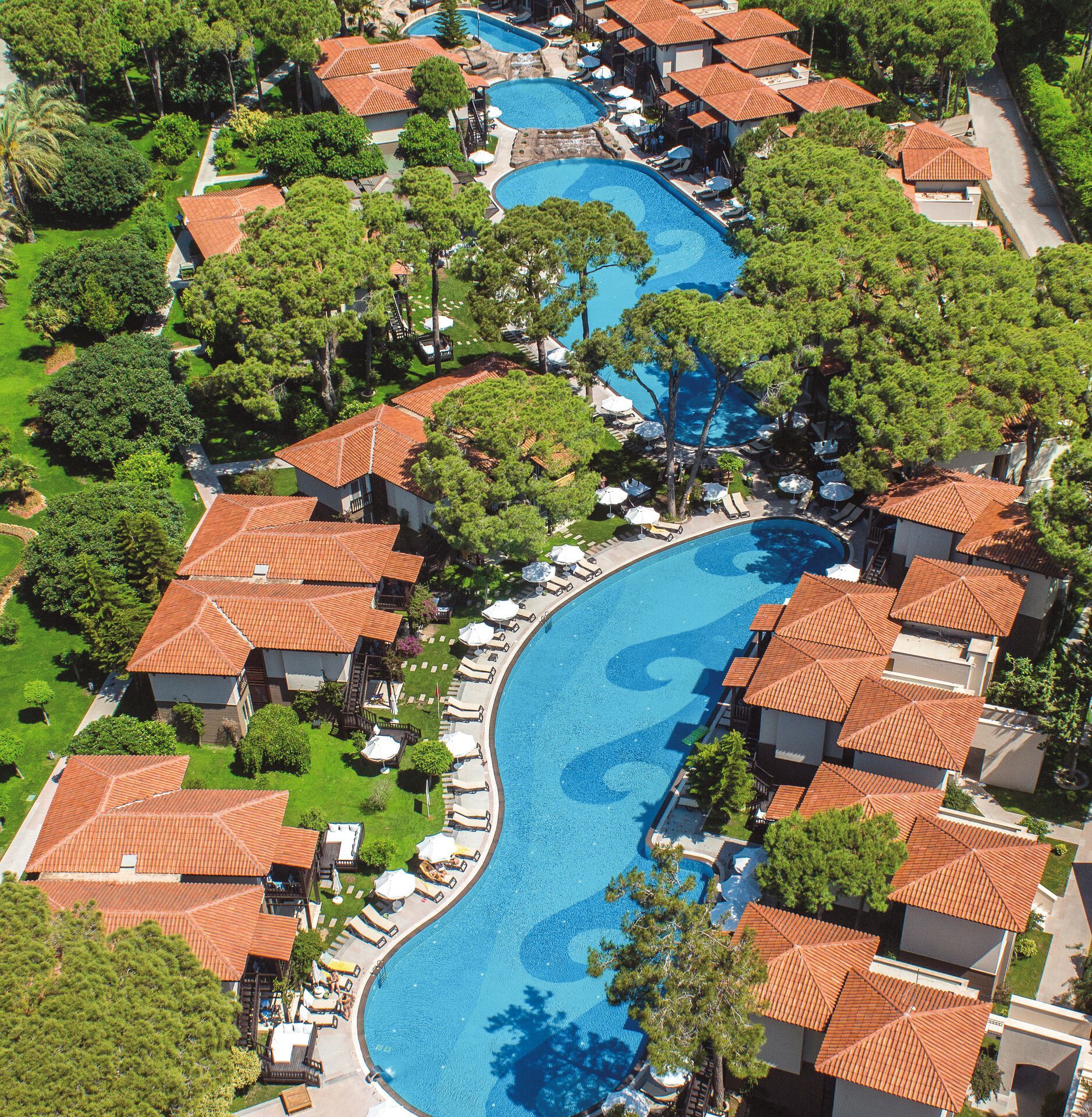 Papillon Ayscha - 5* pas cher photo 6