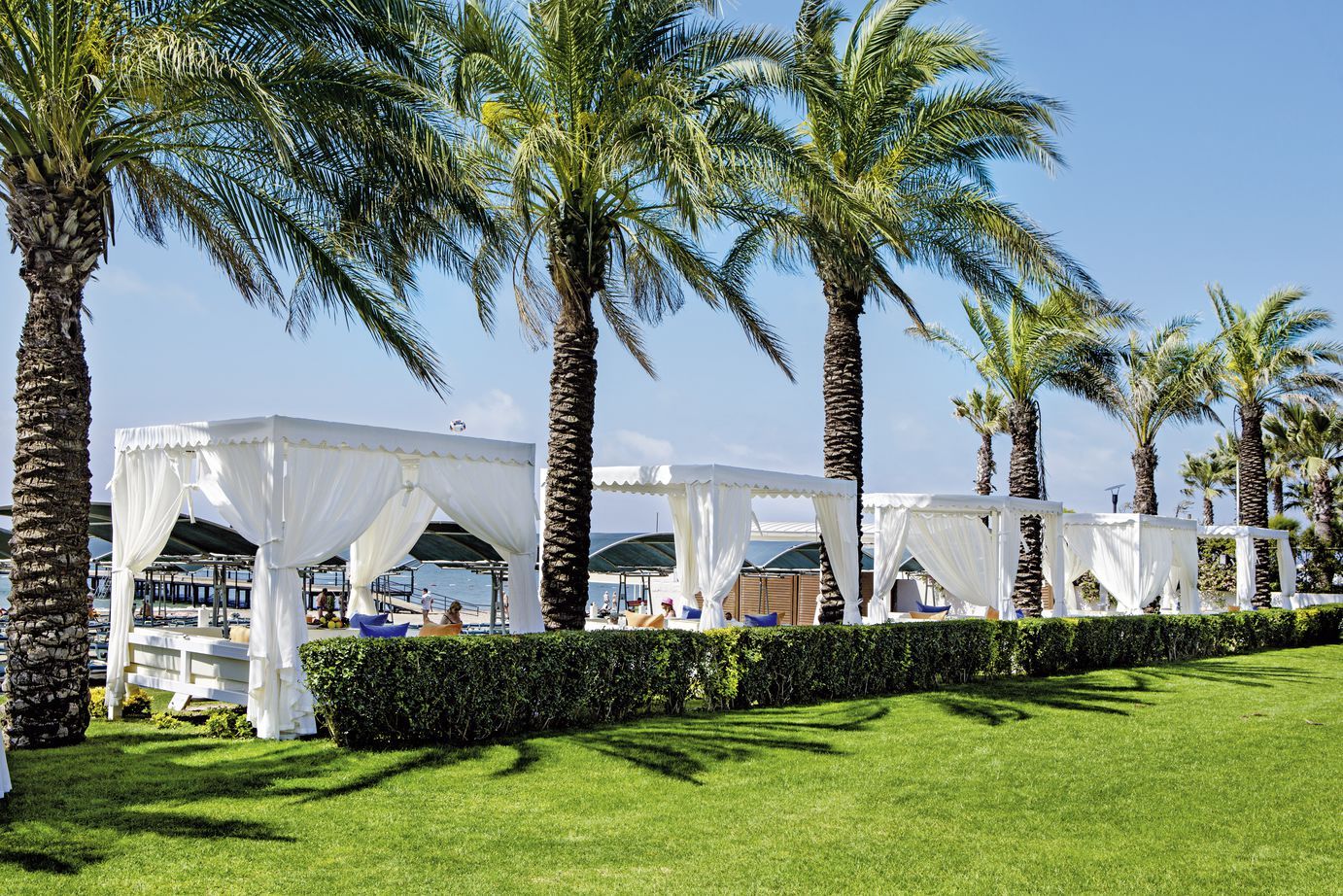 Papillon Ayscha - 5* pas cher photo 7