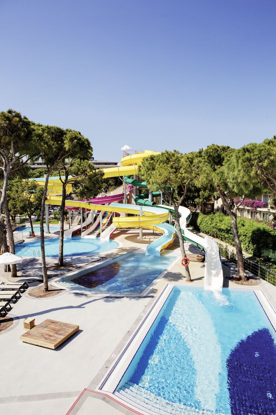 Papillon Ayscha - 5* pas cher photo 8