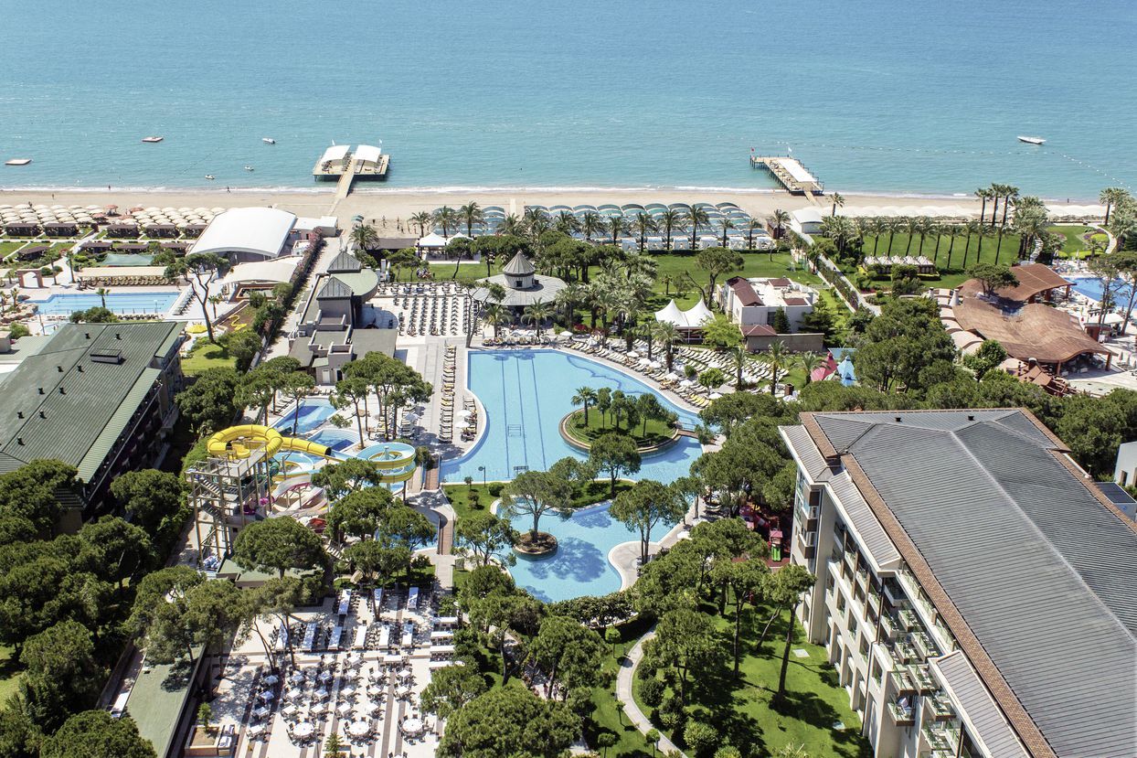 Papillon Ayscha - 5* pas cher photo 9