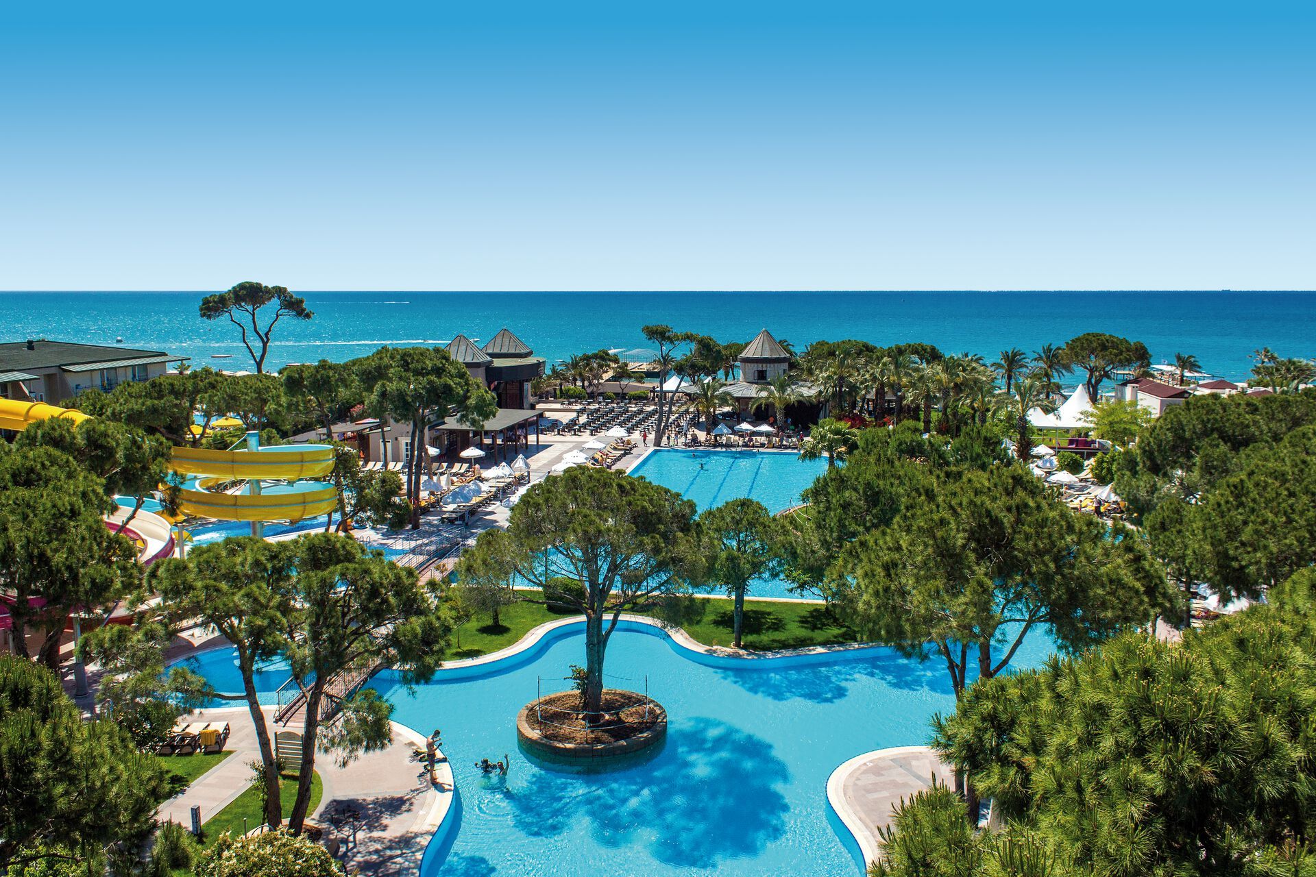 Papillon Ayscha - 5* pas cher photo 11