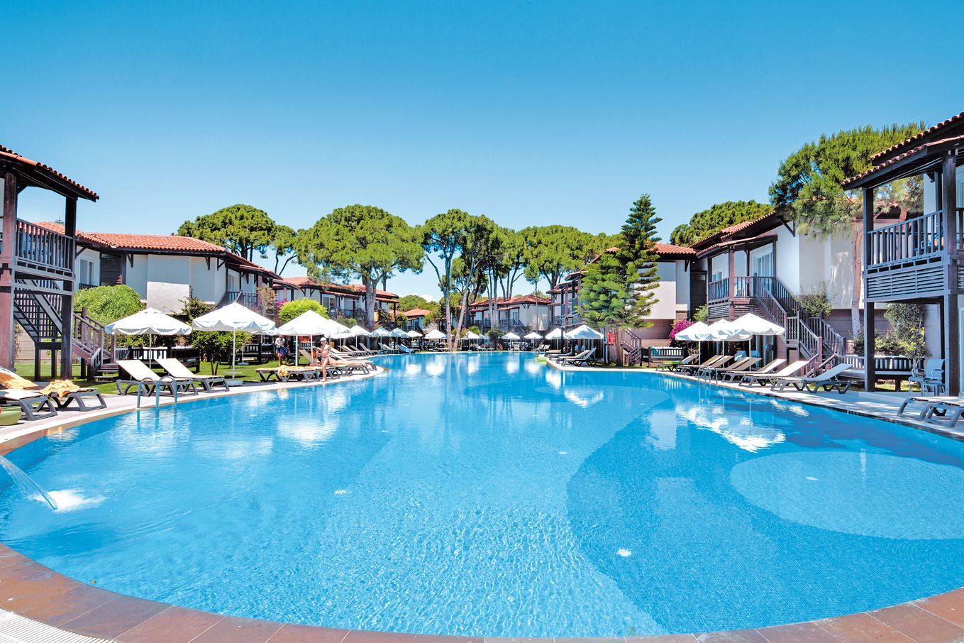 Papillon Ayscha - 5* pas cher photo 12