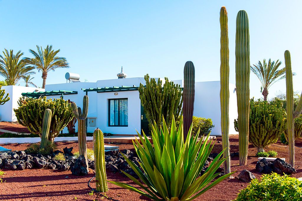 HL Club Playa Blanca 4* pas cher photo 8