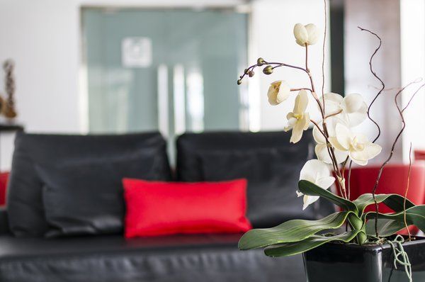 Nautic Hotel & Spa 4* pas cher photo 10