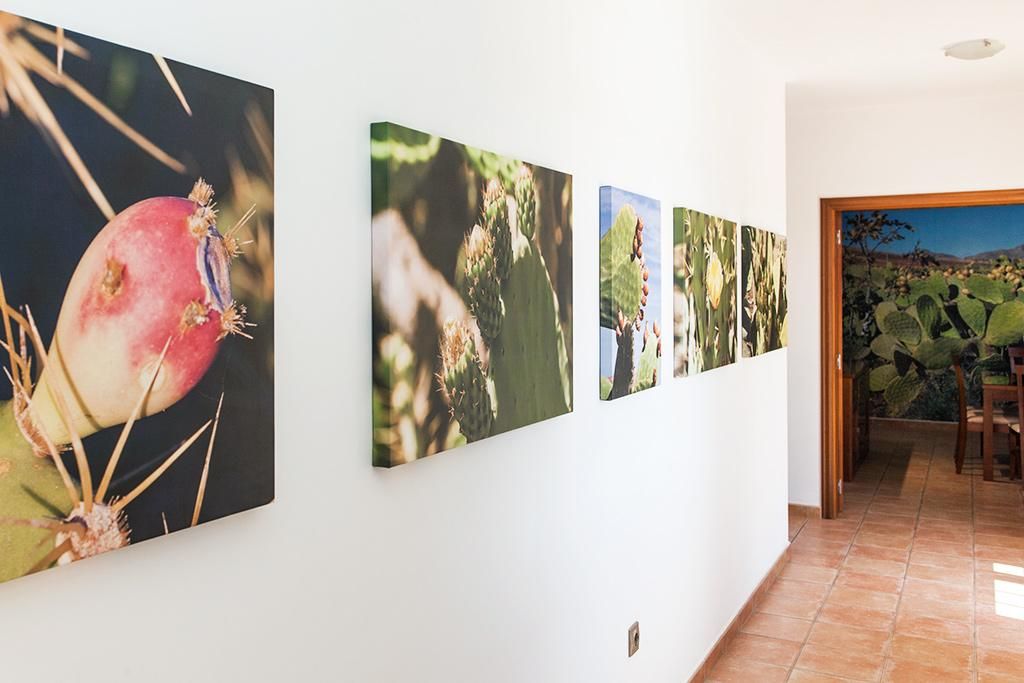 Tao Mazo Villas & Apartamentos pas cher photo 8