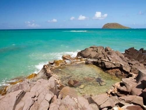 Hôtel Caraïbes Royal 4* pas cher photo 4