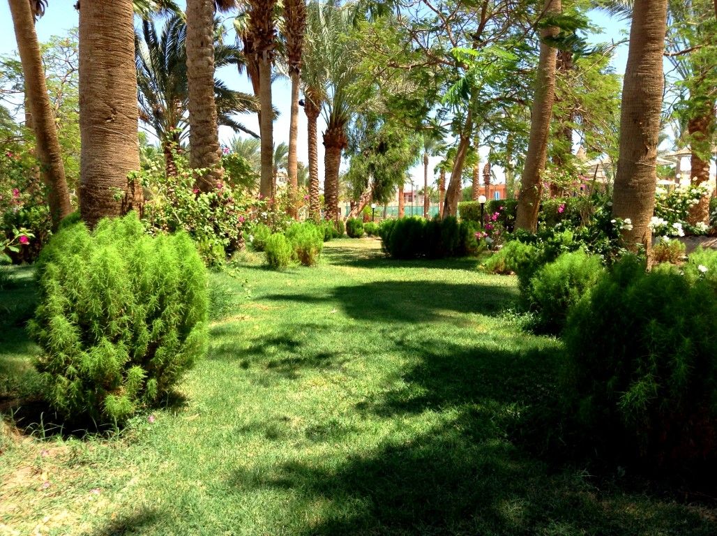 Giftun Azur Resort pas cher photo 8