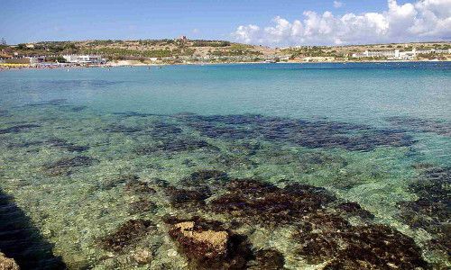 DB Seabank Resort & Spa 4* pas cher photo 10