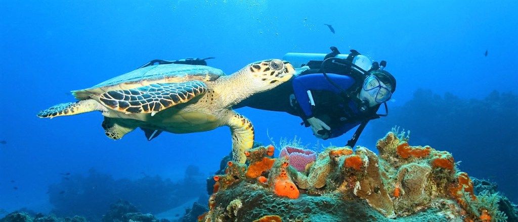 Moevenpick Soma Bay 5* pas cher photo 2