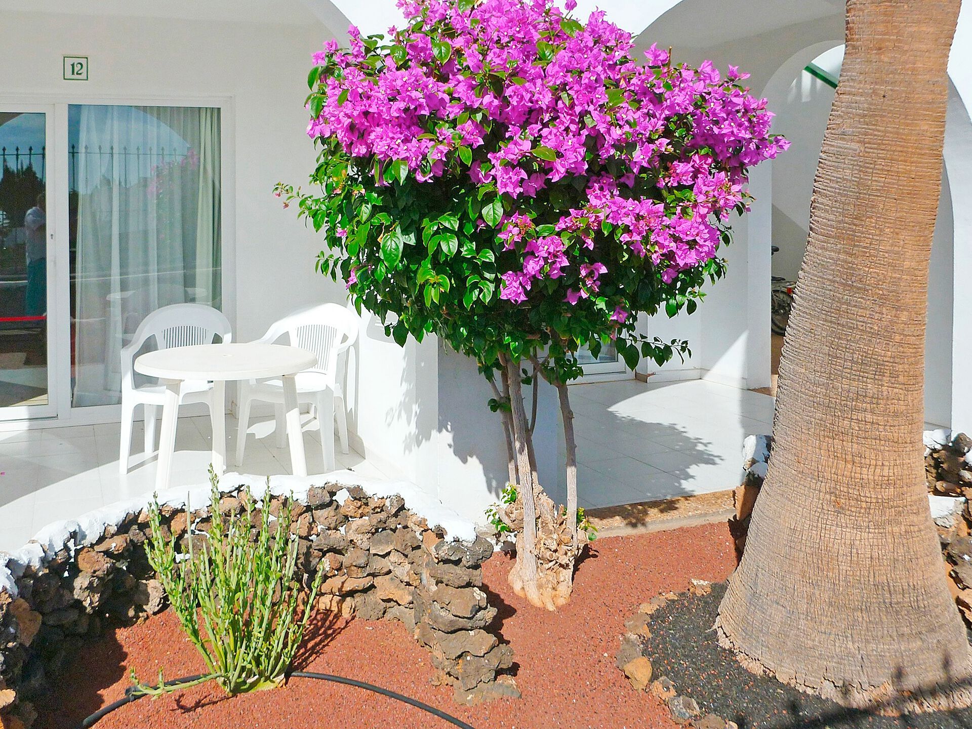 Appartements Guacimeta - 2* pas cher photo 8