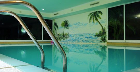 Estrelicia - Madère pas cher photo 6