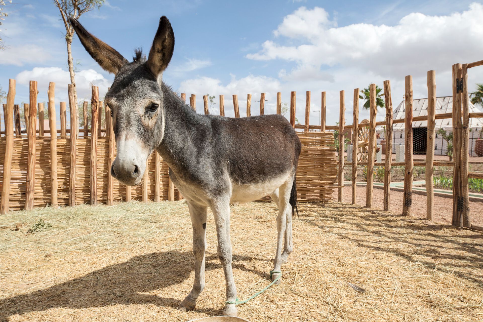 Be Live Experience Marrakech Palmeraie - 0* pas cher photo 12
