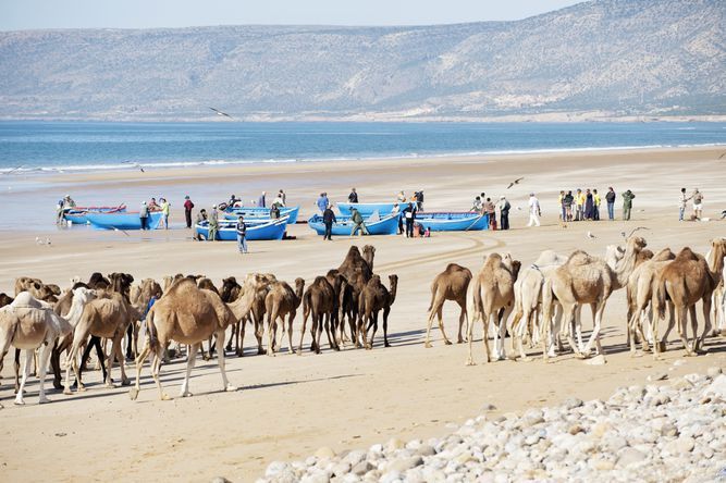 Paradis Plage Resort - 5* pas cher photo 12