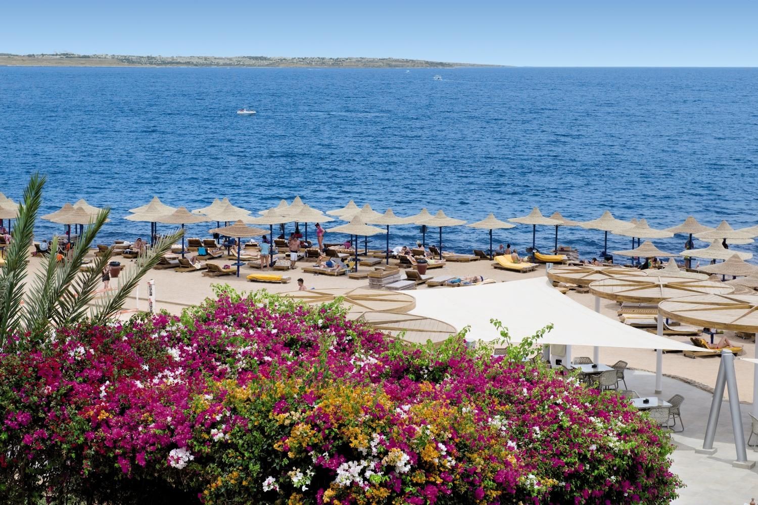 Shores Aloha - 4* pas cher photo 1