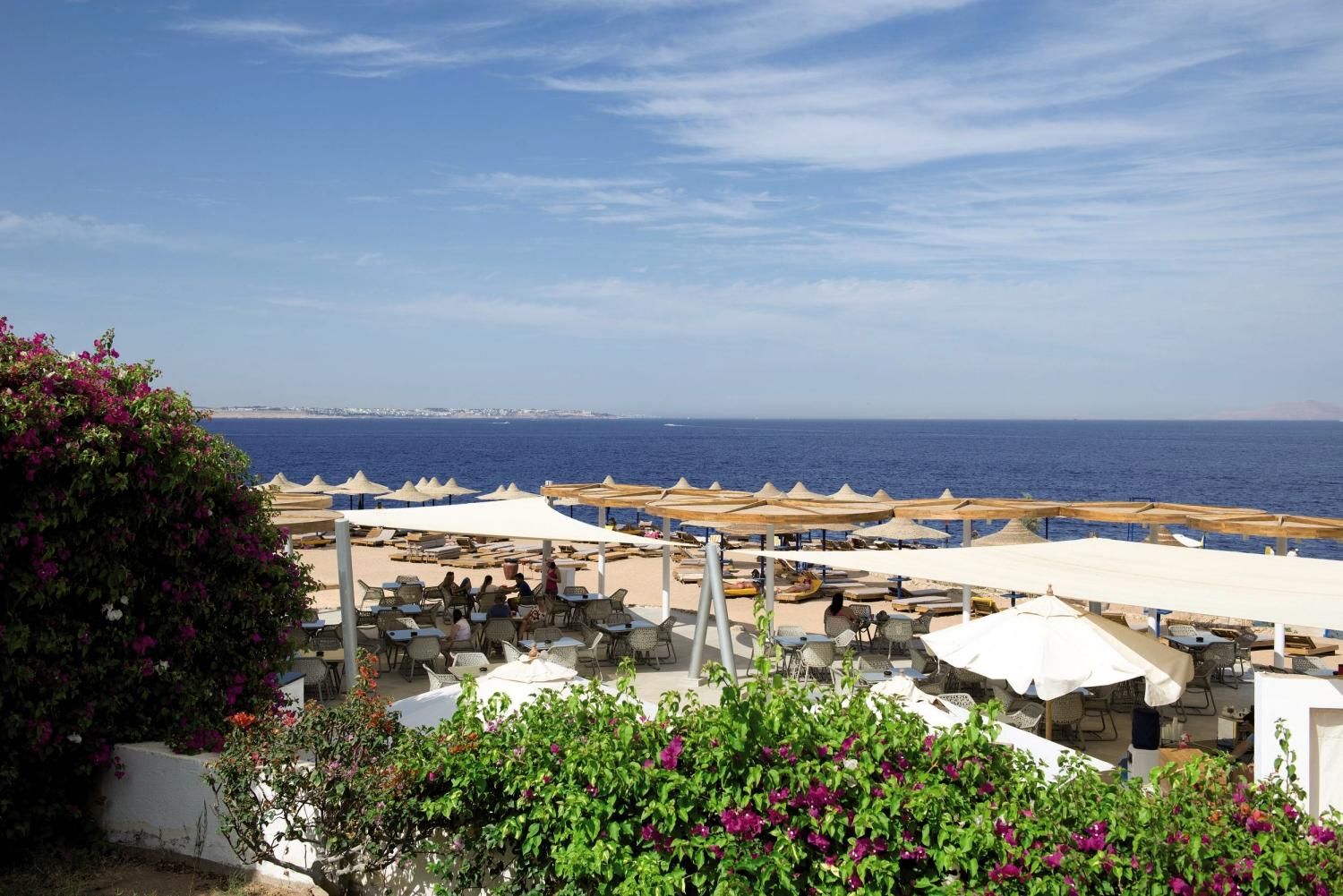 Shores Aloha - 4* pas cher photo 9