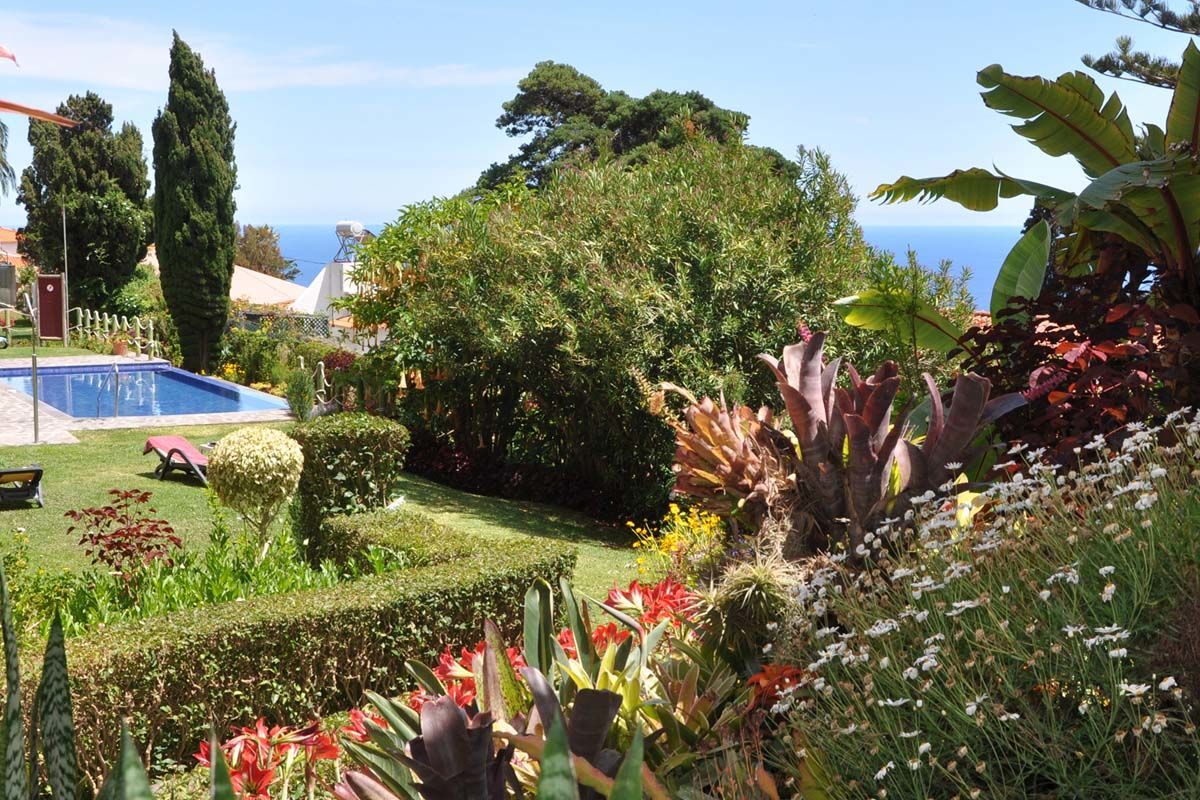 Dom Pedro Garajau 3* pas cher photo 4