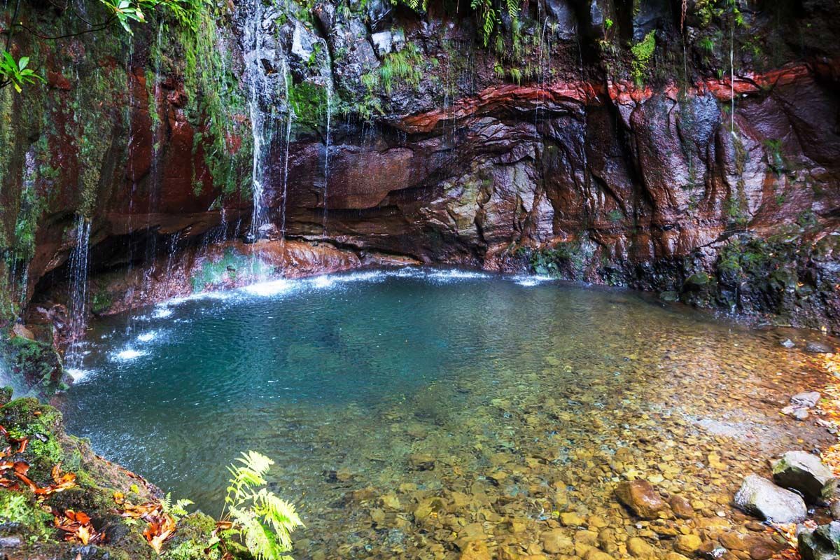 Madeira Panôramico 4* pas cher photo 6