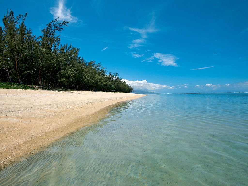 Hôtel Le Récif 3* pas cher photo 7