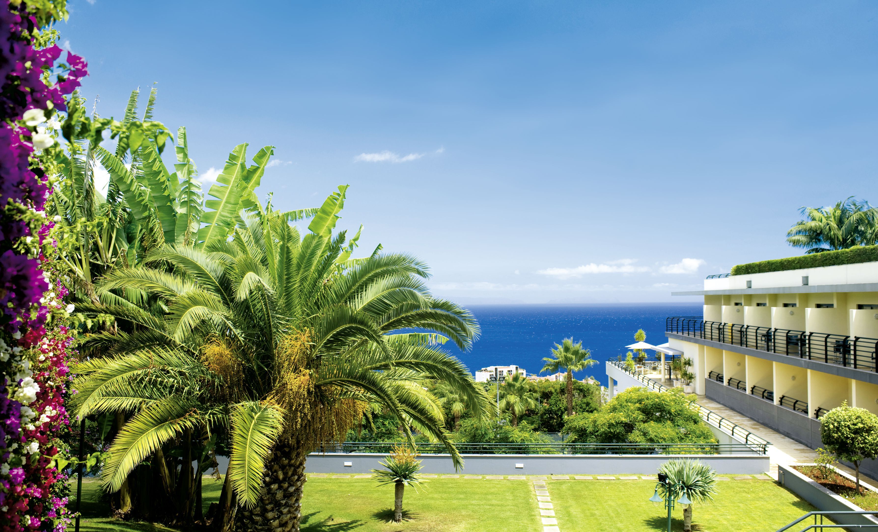 Madeira Panorâmico - 4* pas cher photo 3