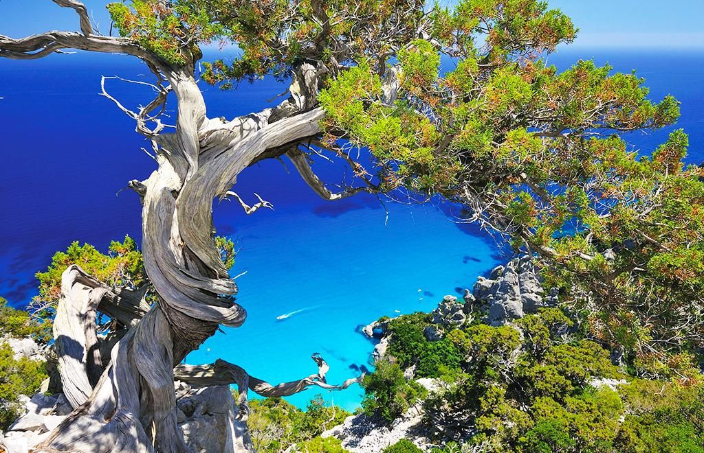 Dune 4* pas cher photo 10