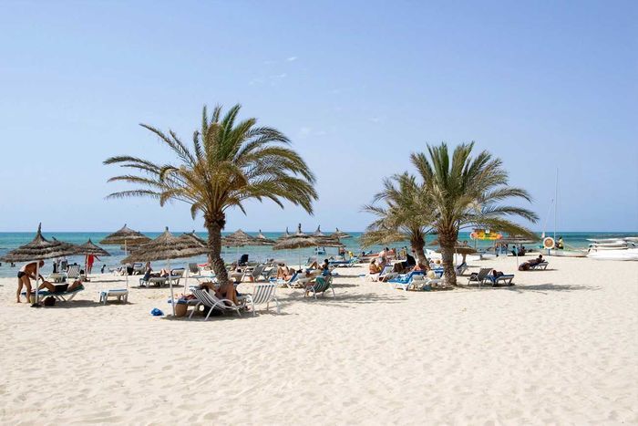 Bravo Club Golf Beach 4* - Tout Inclus pas cher photo 3