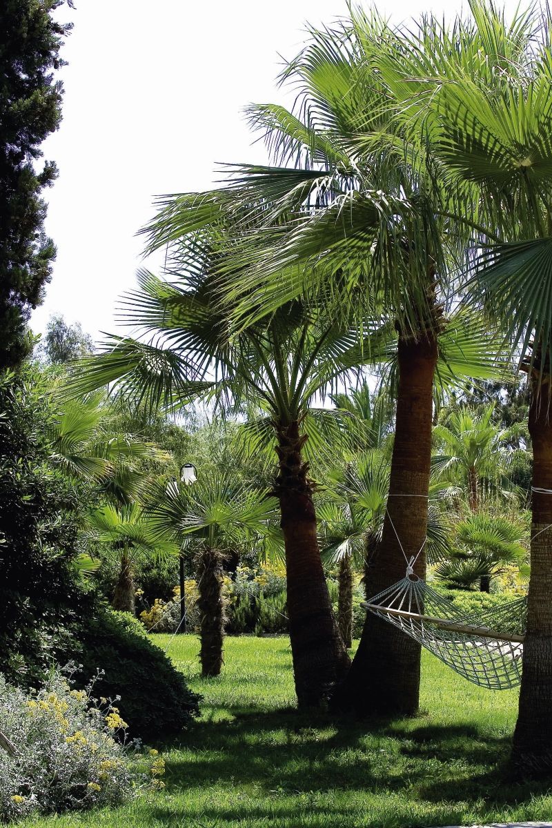 Hotel Richmond Ephesus - 5* pas cher photo 9