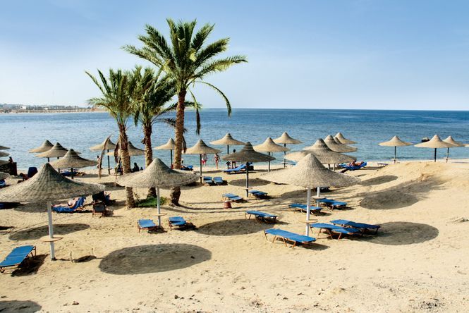 Malikia Resort Abu Dabbab - 4* pas cher photo 1