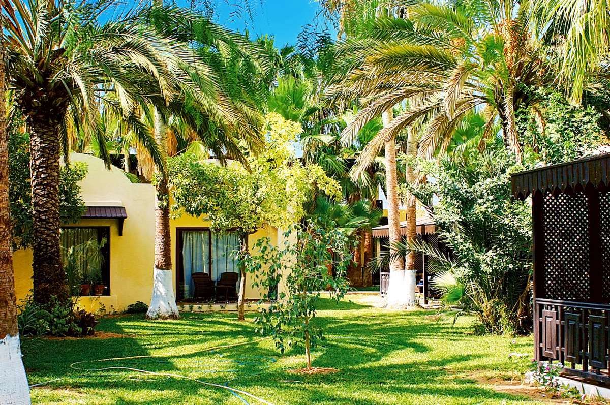 PARADIS PALACE 4*(NL) pas cher photo 10