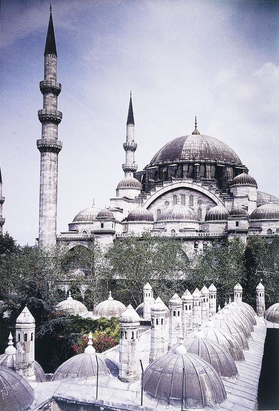 Golden Crown - 3* pas cher photo 8