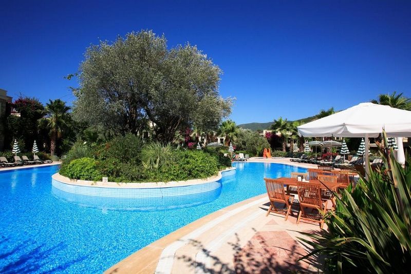 Zeytinada 4* pas cher photo 6