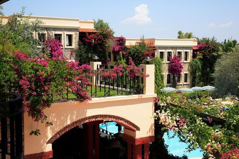 Zeytinada 4* pas cher photo 9