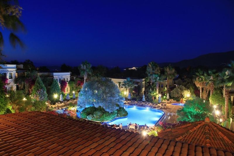 Zeytinada 4* pas cher photo 11