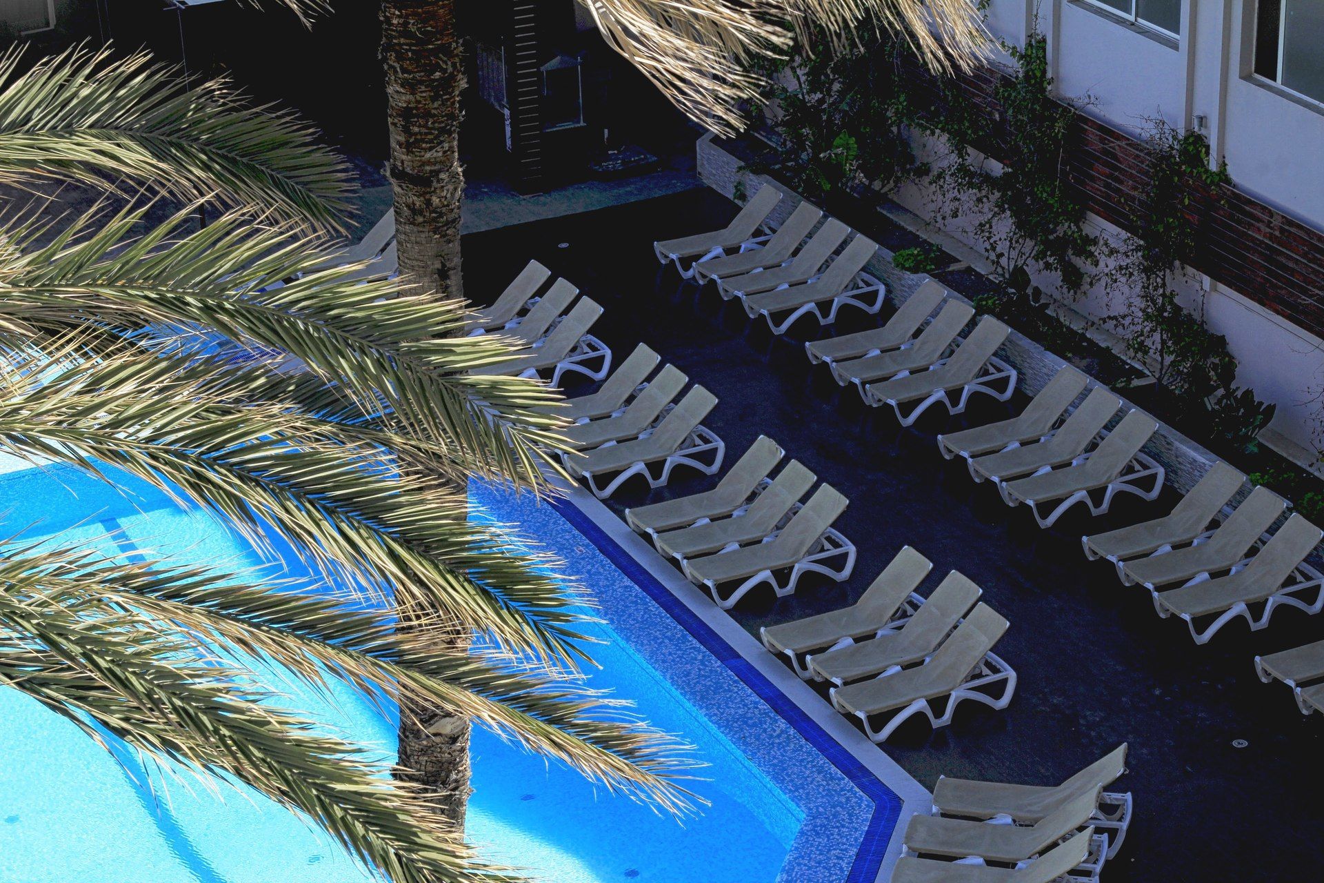 SOUSSE CITY & BEACH 3*NL TOUT INCLUS pas cher photo 1