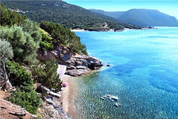 Hôtel Vénus Beach 3* pas cher photo 7