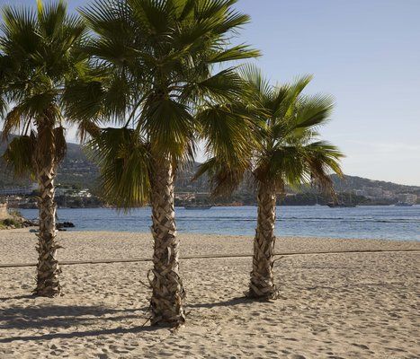 Ola Panama 4* Adult only+18 pas cher photo 8