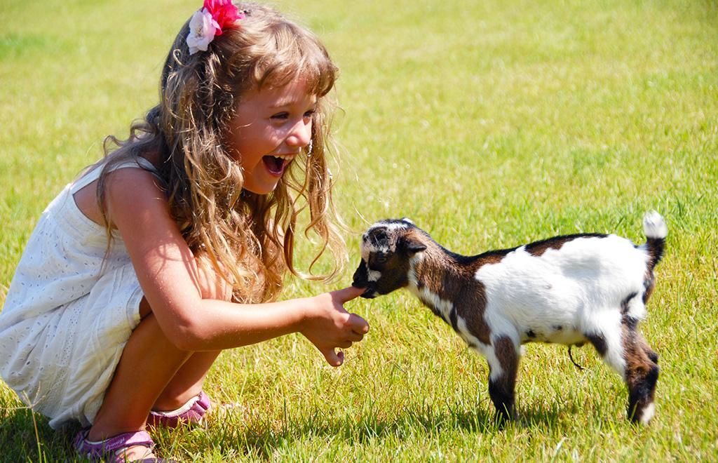 Cottage 4* pas cher photo 9